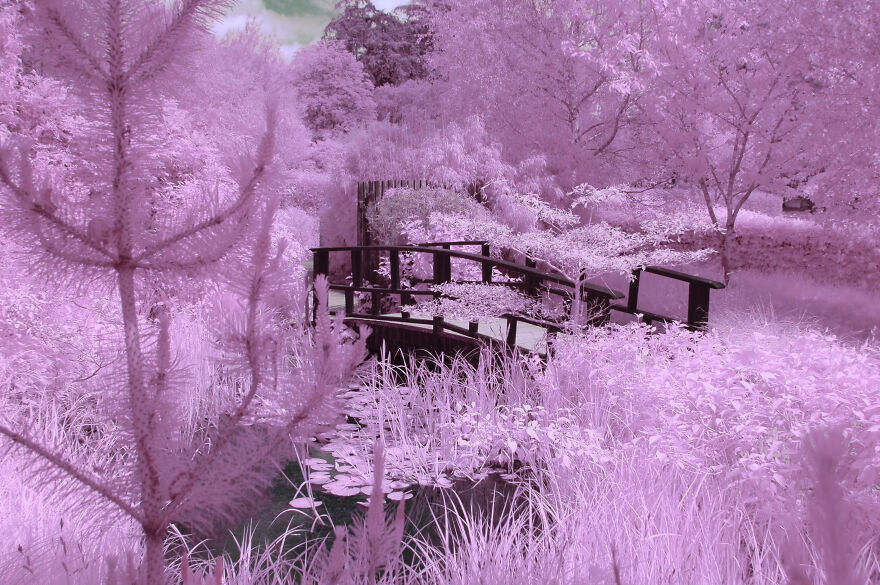 I Am A Newbie Infrared Photographer And Here Are Some Of My Best Pics ...