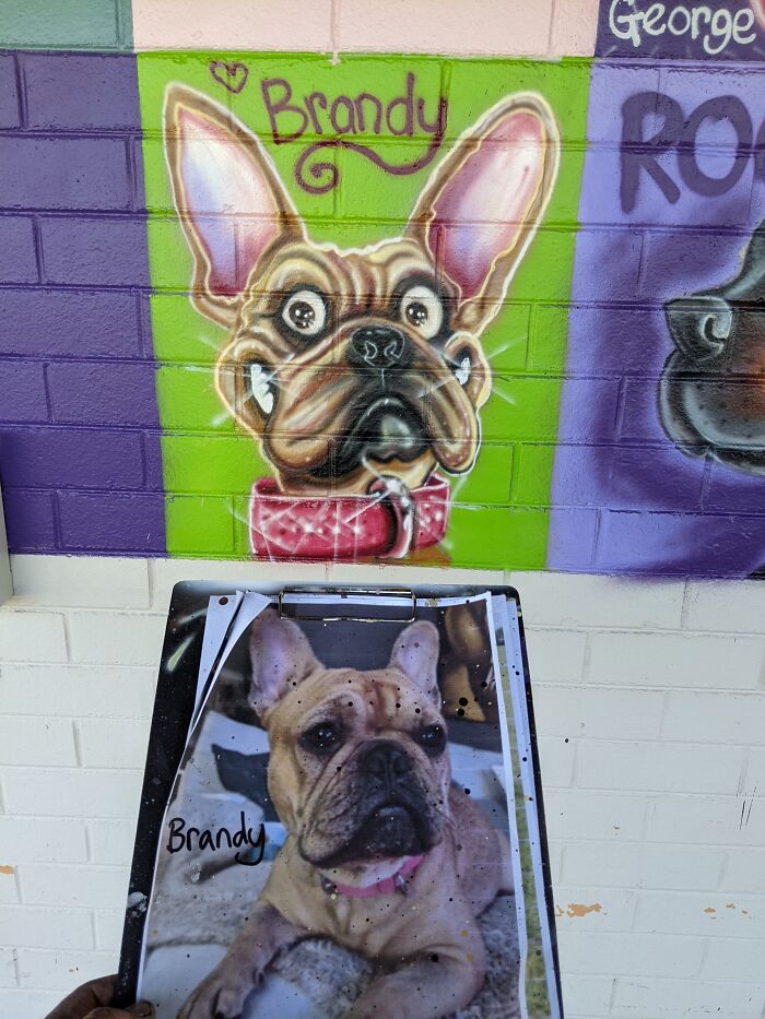 I Was Commissioned To Do The Largest Dog Caricature Mural For The City Of Bayswater, Australia (8 Pics)