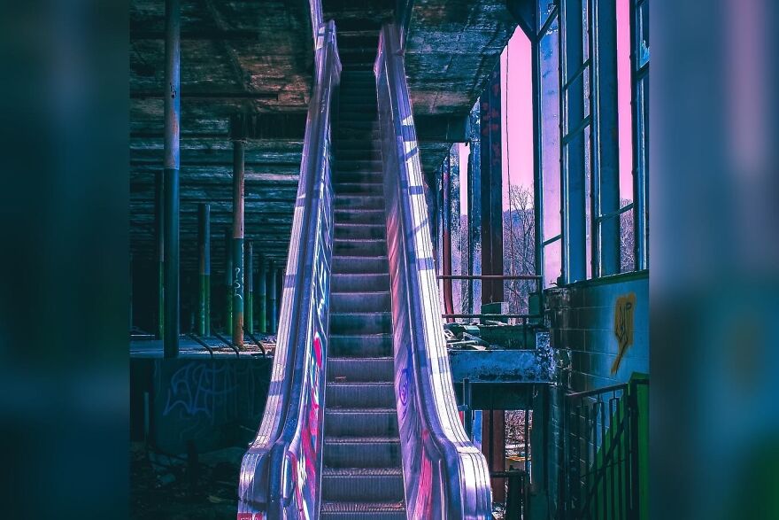 Adventure With Floof…at The Track! Adventure With Floof…at The Track!