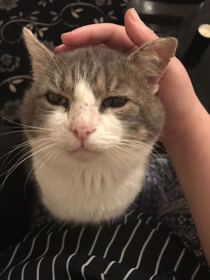 My Old Man Mouse, He’s Just Turned 13