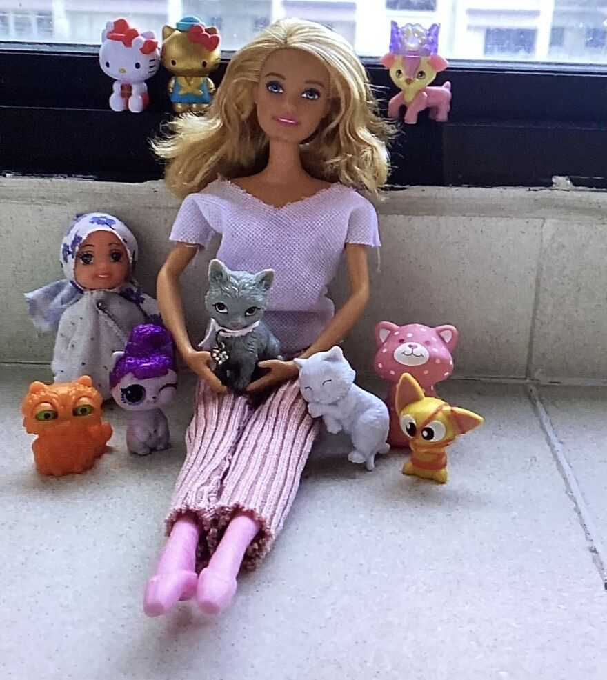 #6 Laura, Baby (Rebecca’s Sister) And Her Cats