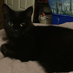 joanne_plant1 avatar