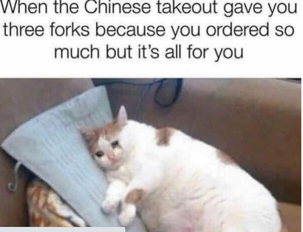 Here Are Some Relatable Cat Memes