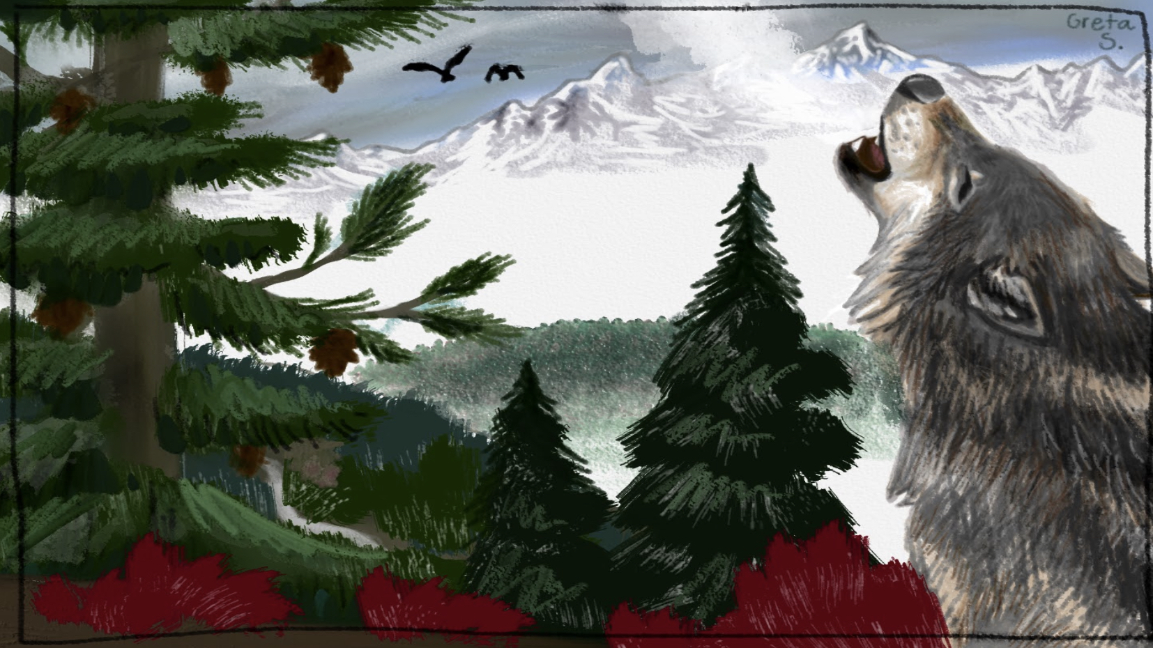 Hey Pandas, Show Us Some Of Your Wolf Drawings