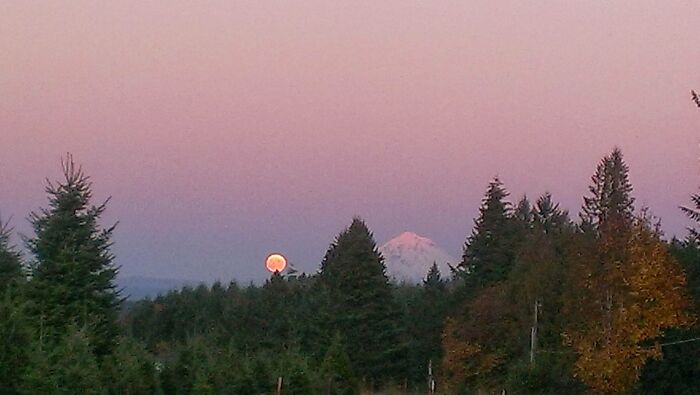 View Of Mt Hood, Oregon From Our Property!