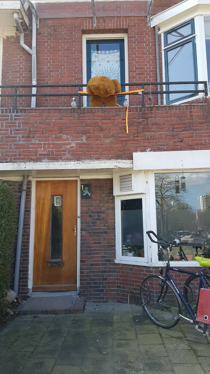 Teddy Bear With A Hangover (2020)