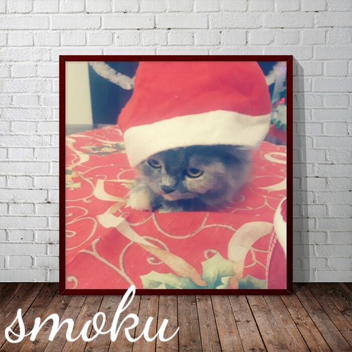 The Cute Little Christmas Father.my Baby Smokey