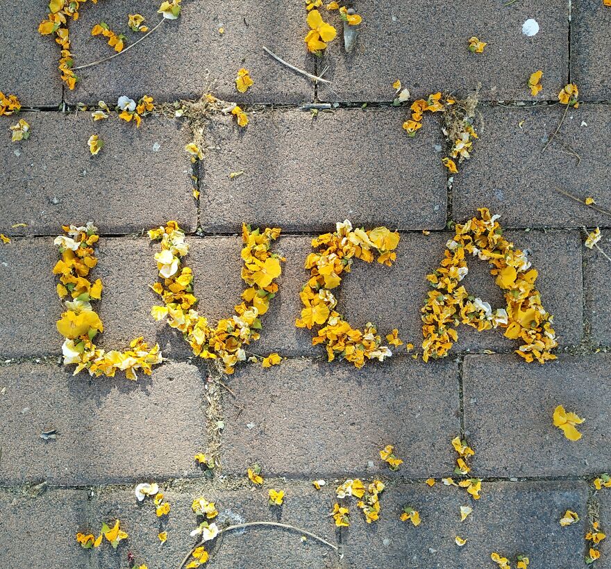 I Create "Luca"S In A Memory Of My Best Friend Who Died In An Aircrash At The Age Of 33.
