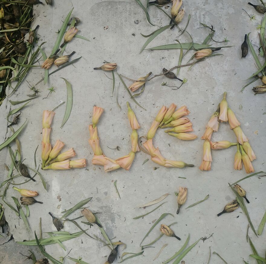 I Create "Luca"S In A Memory Of My Best Friend Who Died In An Aircrash At The Age Of 33.