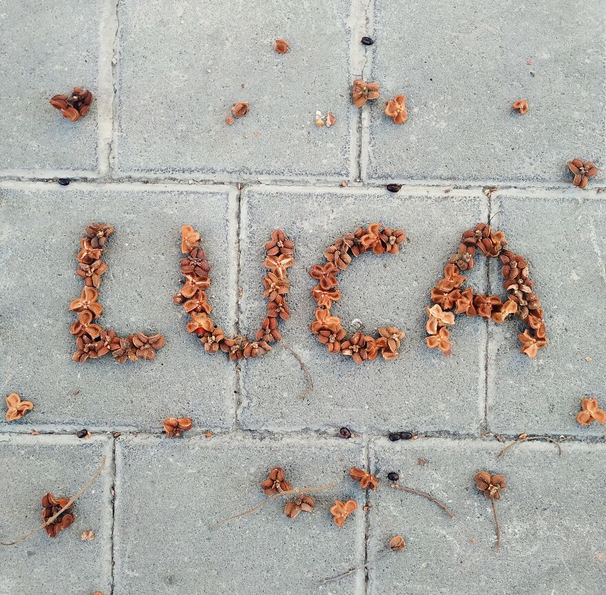 I Create "Luca"S In A Memory Of My Best Friend Who Died In An Aircrash At The Age Of 33.