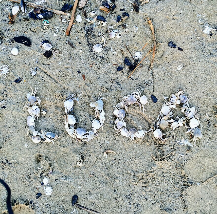 I Create "Luca"S In A Memory Of My Best Friend Who Died In An Aircrash At The Age Of 33.