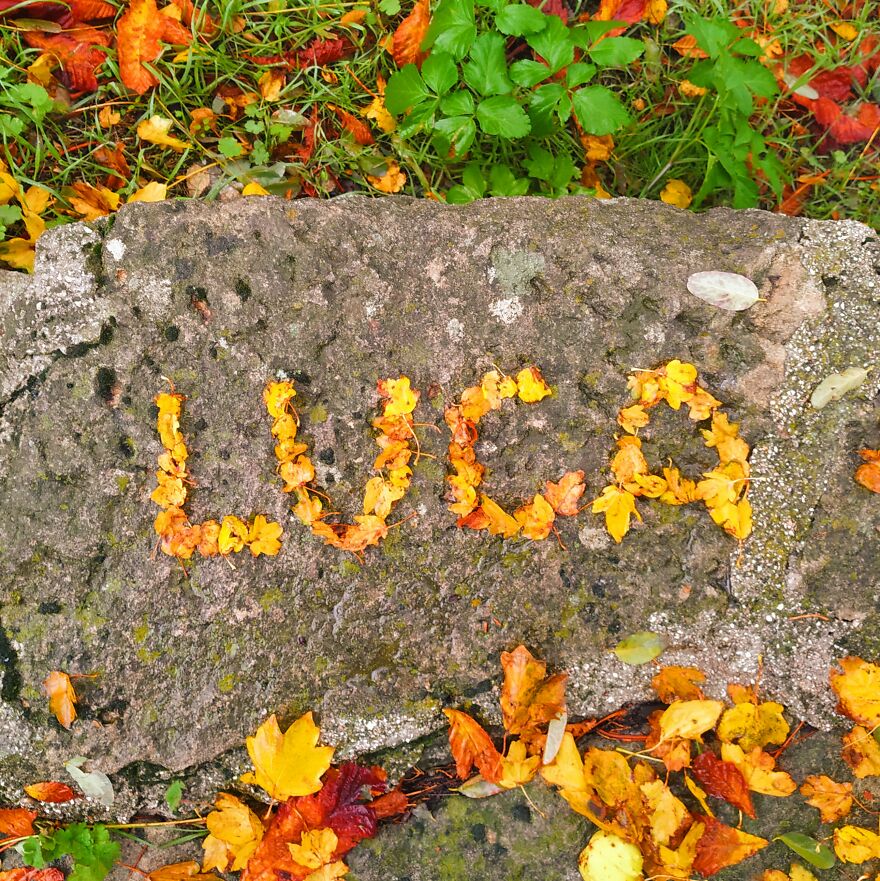 I Create "Luca"S In A Memory Of My Best Friend Who Died In An Aircrash At The Age Of 33.