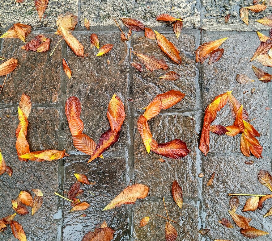 I Create "Luca"S In A Memory Of My Best Friend Who Died In An Aircrash At The Age Of 33.