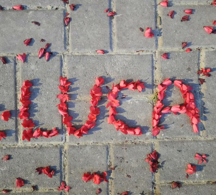 I Create "Luca"S In A Memory Of My Best Friend Who Died In An Aircrash At The Age Of 33.