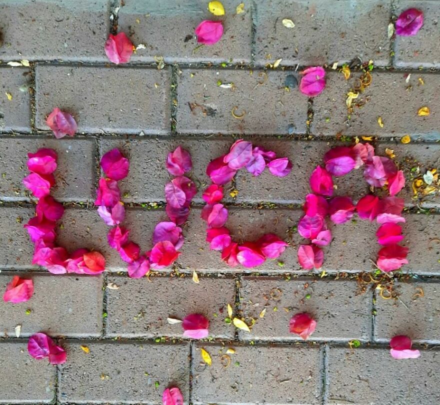 I Create "Luca"S In A Memory Of My Best Friend Who Died In An Aircrash At The Age Of 33.