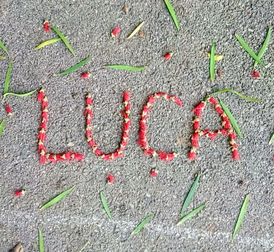 I Create "Luca"S In A Memory Of My Best Friend Who Died In An Aircrash At The Age Of 33.