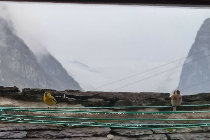 Mountains, Neighbors Roof, And Birds