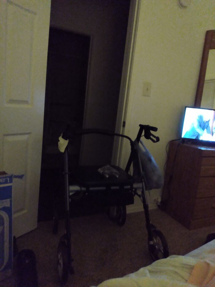 I'm Working On Standing And Walking. My Legs Are Getting Stronger, And I'm Able To Do More Than I Was Even A Few Weeks Ago. This Is My Walker