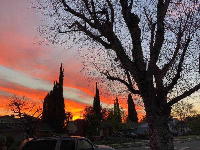 Sunrise In Front Of My House: Sherman Oaks, Ca