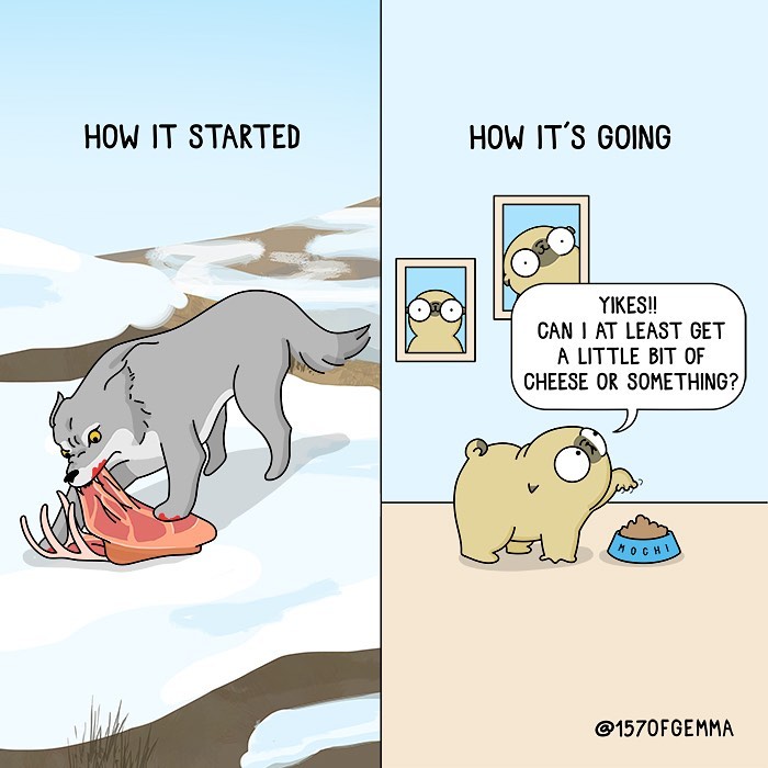 If You Love Dogs, You Will Love These Comics (New Pics)
