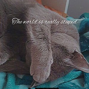 basketball_und_schlagzeug avatar