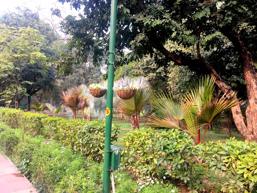 I Went To Explore Lodhi Garden And Took These Pictures (10 Pics)