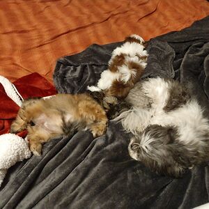 kaitlynparker_1 avatar