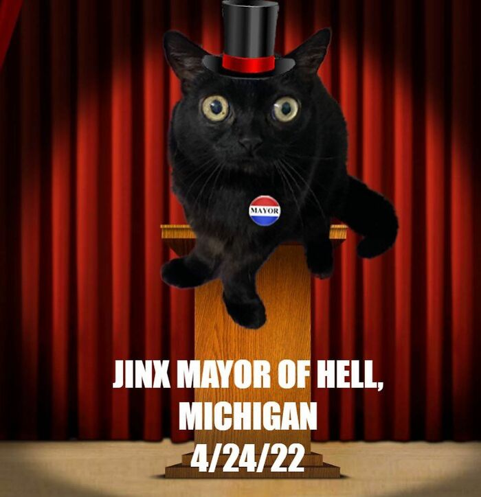 Black Cat With Huge Eyes And Paws Named Mayor Of Town Called Hell Black Cat With Huge Eyes And Paws Named Mayor Of Town Called Hell