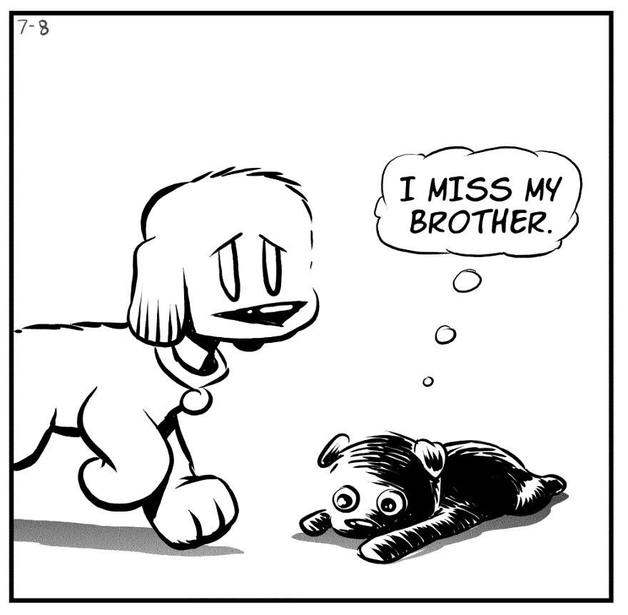 My Comics About My Scaredy Cat Rescue Dogs My Comics About My Scaredy Cat Rescue Dogs