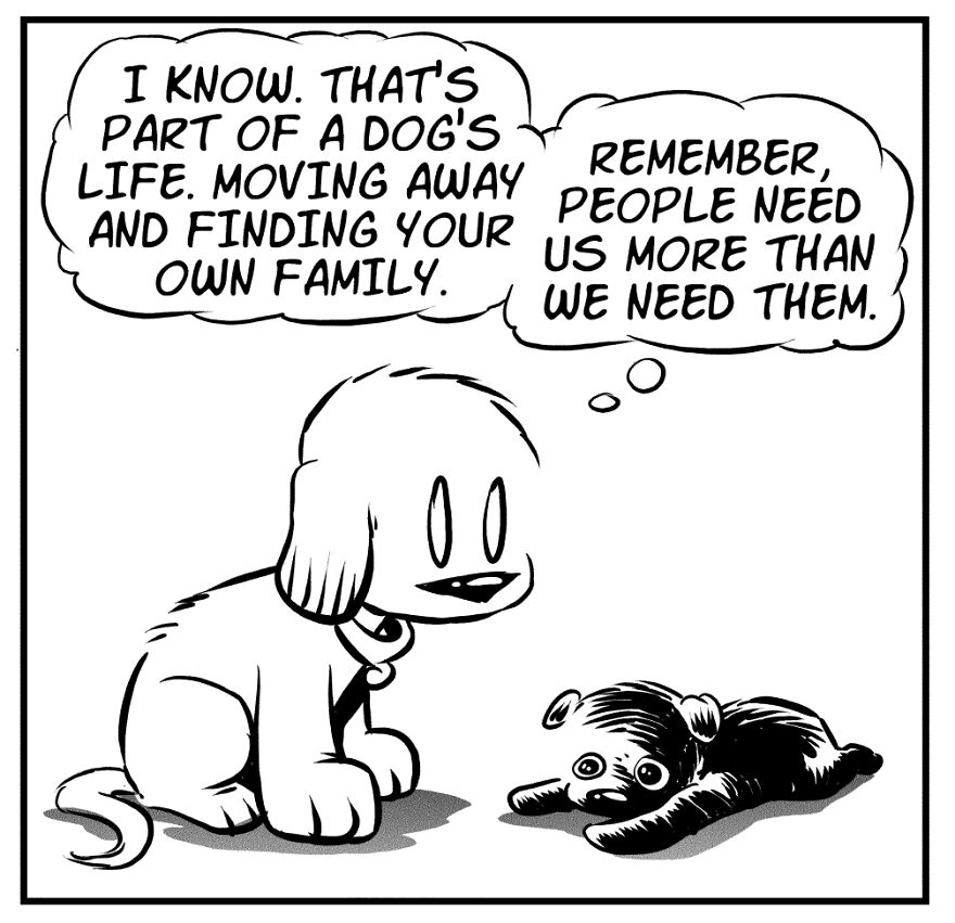 My Comics About My Scaredy Cat Rescue Dogs My Comics About My Scaredy Cat Rescue Dogs