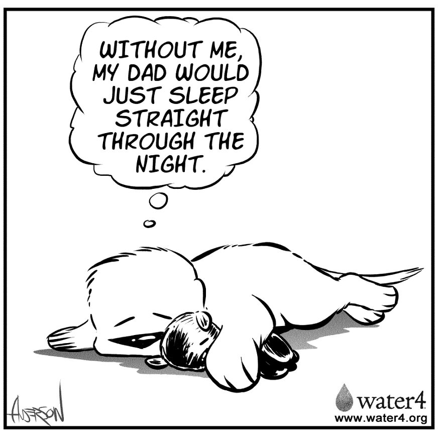 My Comics About My Scaredy Cat Rescue Dogs My Comics About My Scaredy Cat Rescue Dogs