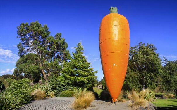 Ohakune-Carrot-1080x675-1-1080x675-624b5d8b41ed9.jpg