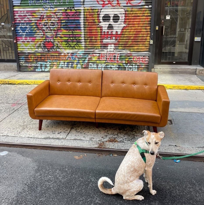 The Same Couch But Now In The Wild! 54 Ludlow!