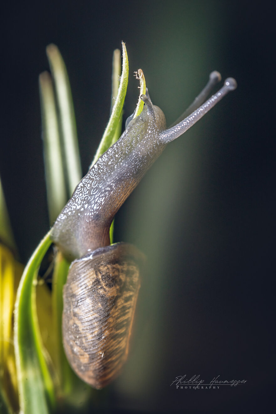 16 Photos Taken With My Homemade Macro Lens, And How To Make Your Own 16 Photos Taken With My Homemade Macro Lens, And How To Make Your Own