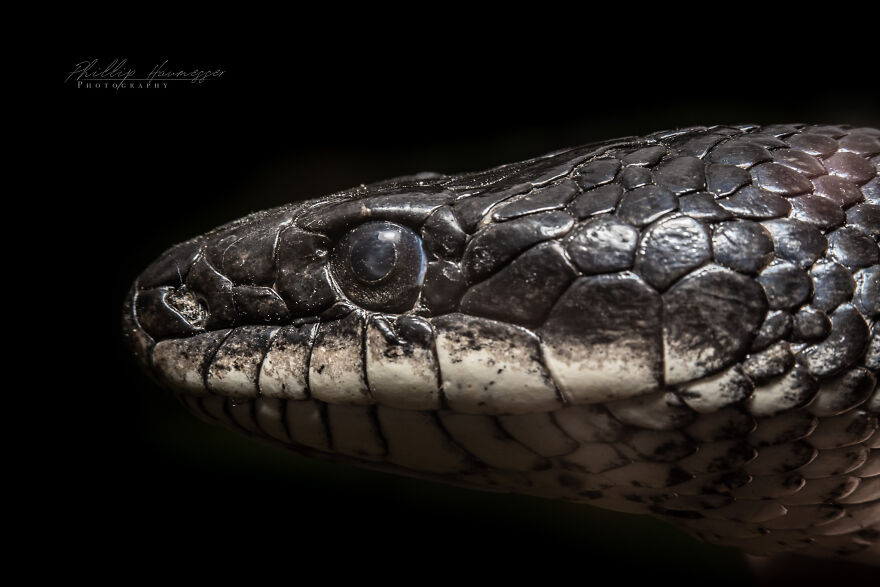 16 Photos Taken With My Homemade Macro Lens, And How To Make Your Own