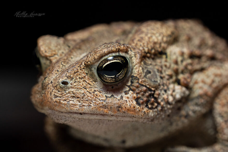 16 Photos Taken With My Homemade Macro Lens, And How To Make Your Own