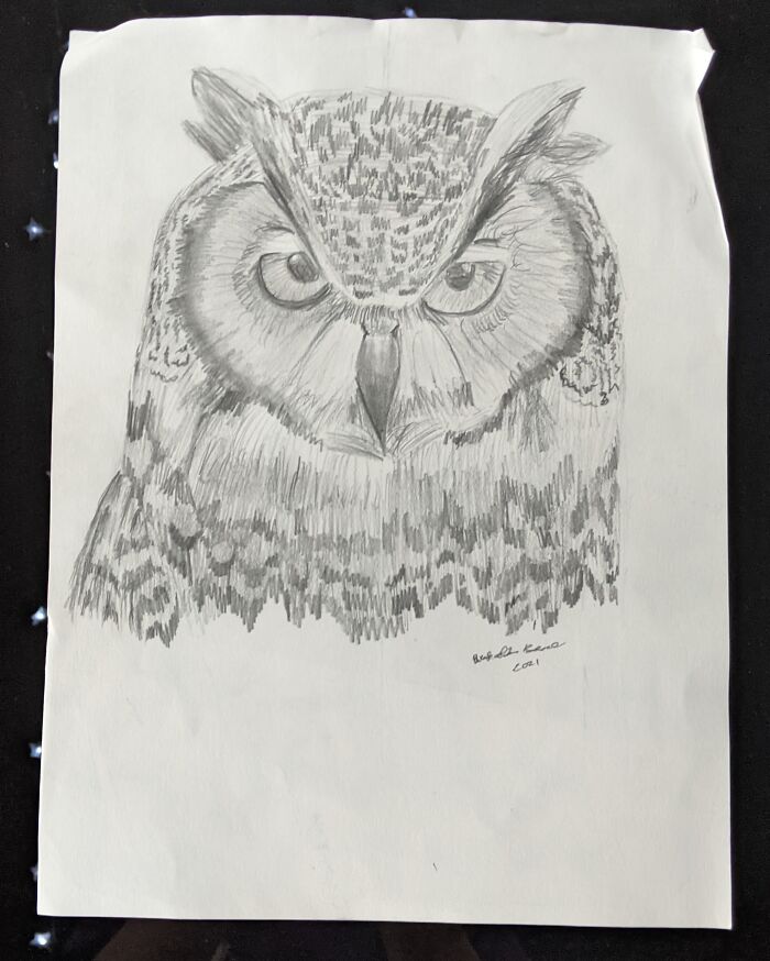 Owl, Drawing Pencils On Paper, I Did It For Art Class. (Eli, 14)