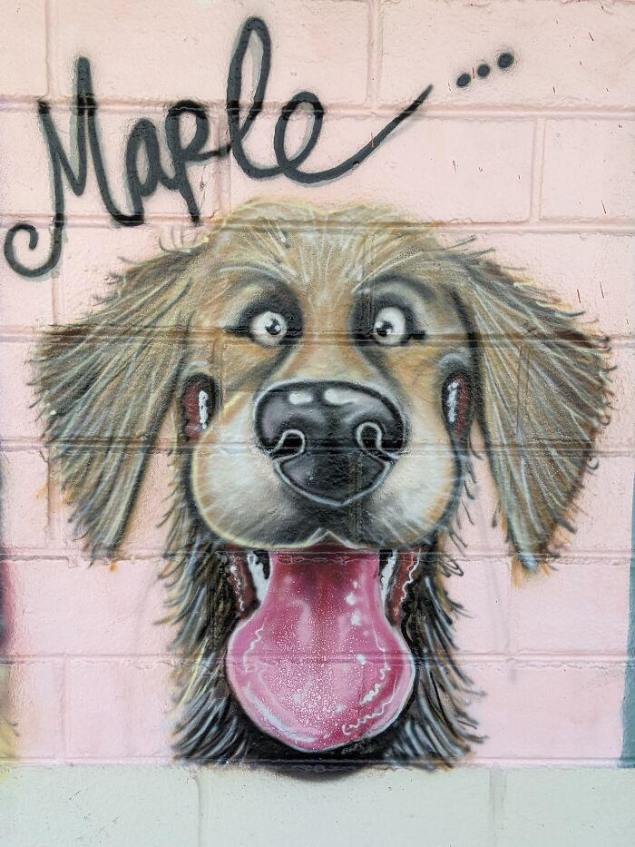 I Was Commissioned To Do The Largest Dog Caricature Mural For The City Of Bayswater, Australia (8 Pics)