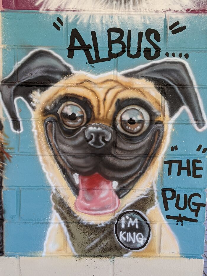 I Was Commissioned To Do The Largest Dog Caricature Mural For The City Of Bayswater, Australia (8 Pics)