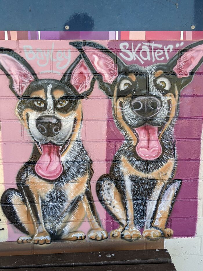 I Was Commissioned To Do The Largest Dog Caricature Mural For The City Of Bayswater, Australia (8 Pics) I Was Commissioned To Do The Largest Dog Caricature Mural For The City Of Bayswater, Australia (8 Pics)