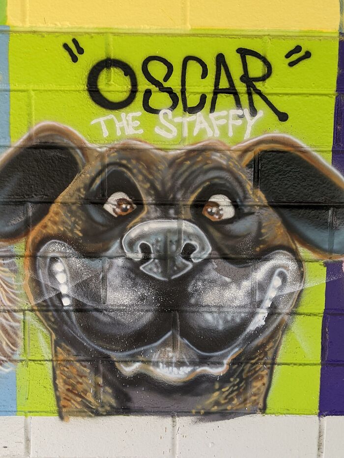 I Was Commissioned To Do The Largest Dog Caricature Mural For The City Of Bayswater, Australia (8 Pics) I Was Commissioned To Do The Largest Dog Caricature Mural For The City Of Bayswater, Australia (8 Pics)