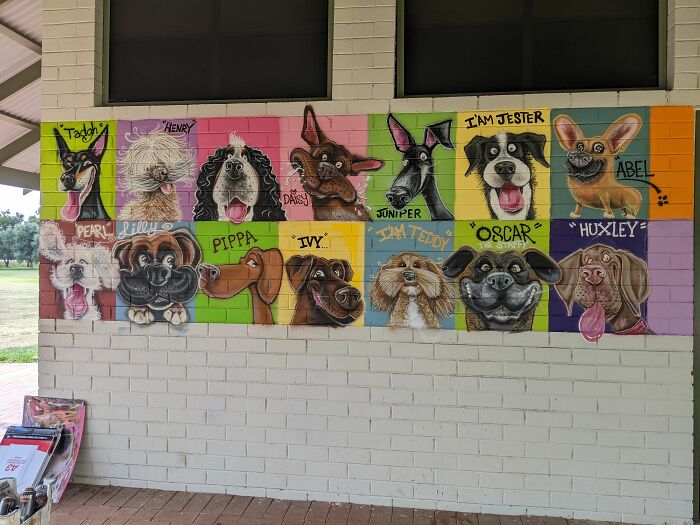 I Was Commissioned To Do The Largest Dog Caricature Mural For The City Of Bayswater, Australia (8 Pics)