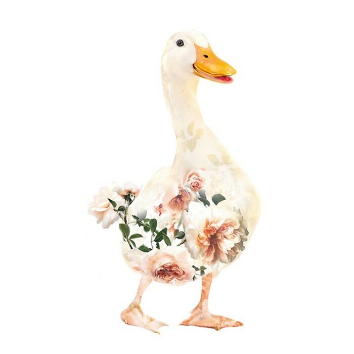 Painting Botanical Animals Are My Thing. Lola Design