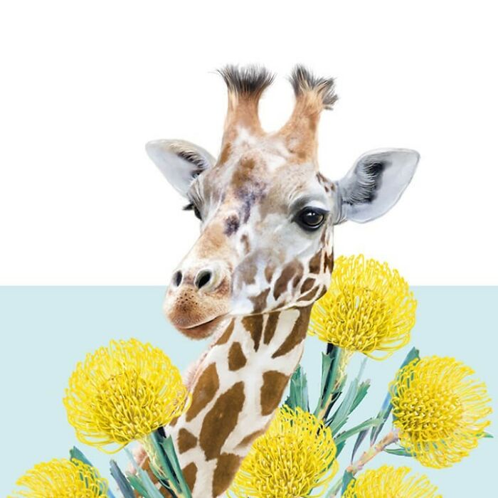 Painting Botanical Animals Are My Thing. Lola Design