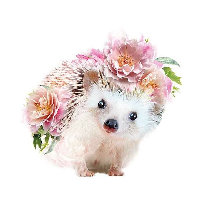 Painting Botanical Animals Are My Thing. Lola Design