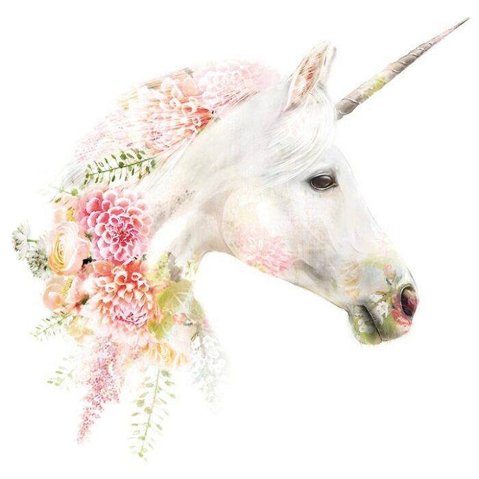 Painting Botanical Animals Are My Thing. Lola Design