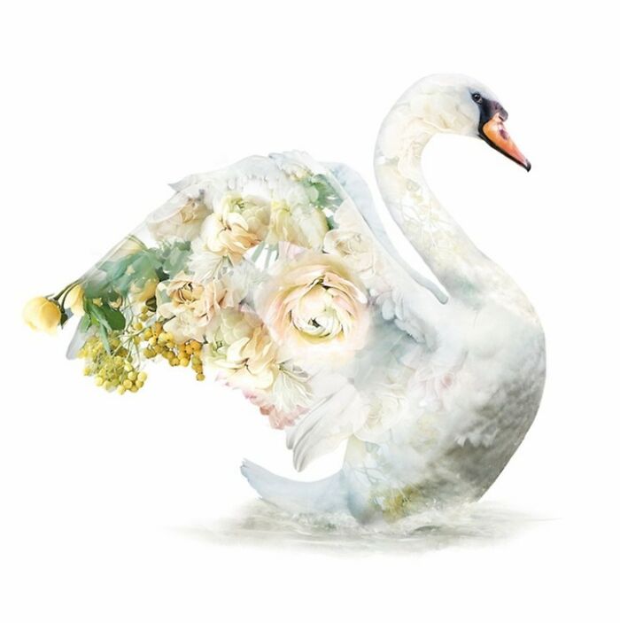 Painting Botanical Animals Are My Thing. Lola Design