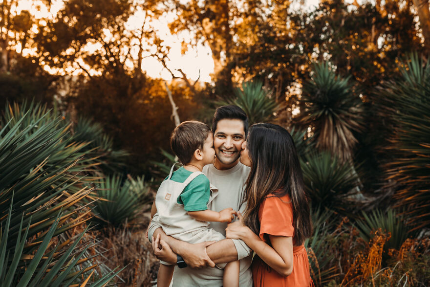 Arizona Cactus Garden