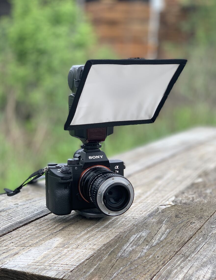 16 Photos Taken With My Homemade Macro Lens, And How To Make Your Own 16 Photos Taken With My Homemade Macro Lens, And How To Make Your Own