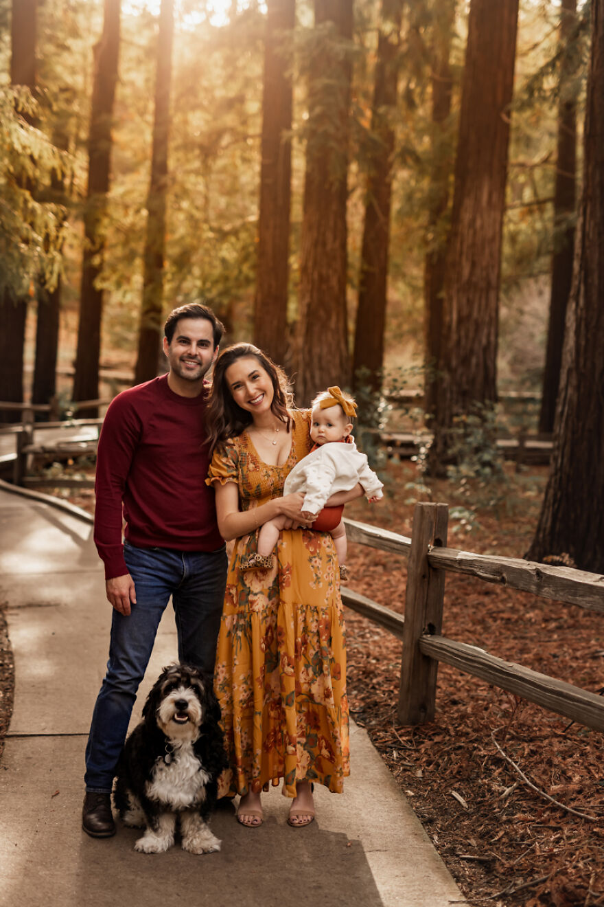 Redwood Preserves In Los Altos